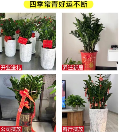 微信截图_20250418154343.png