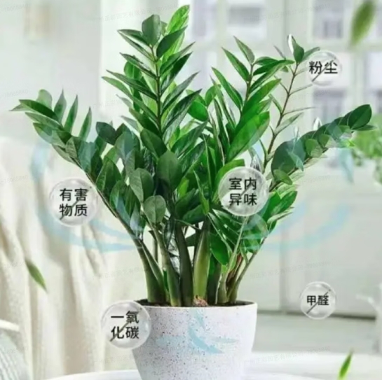 微信截图_20250418154355.png
