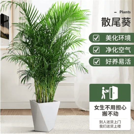 微信截图_20250418154959.png