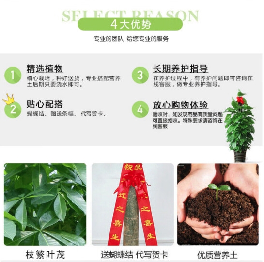 微信截图_20250418155031.png