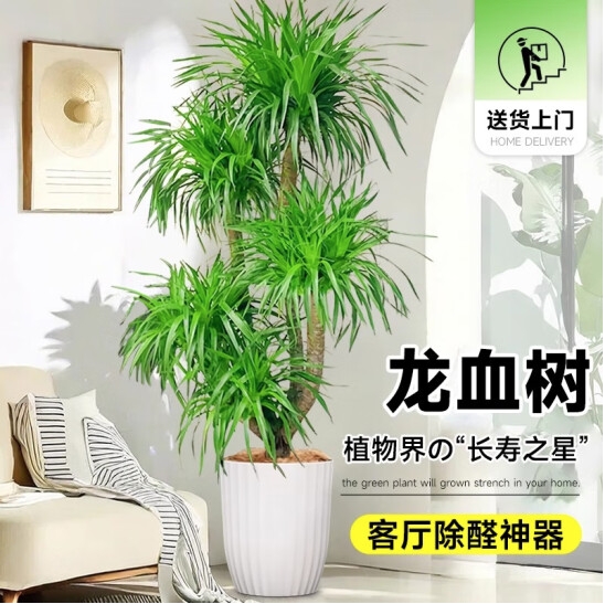 微信截图_20250418155256.png