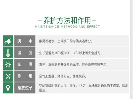 微信截图_20250418155051.png