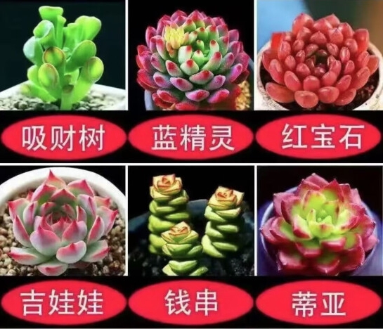 微信截图_20250418161039.png