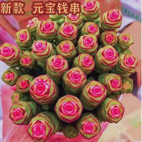 微信截图_20250418161314.png